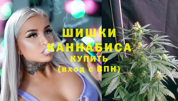 мяу мяу мука Пролетарск