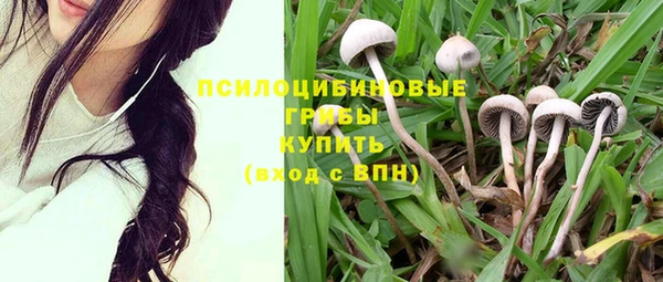 амф Рославль