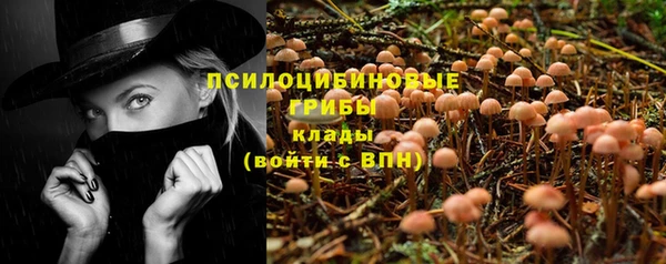 амф Рославль