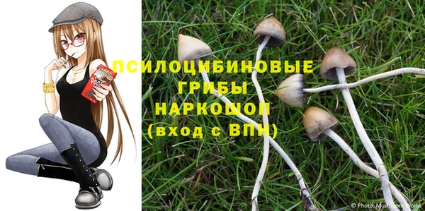 прущая мука Протвино